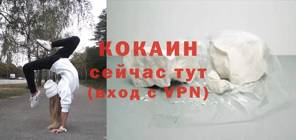 прущий лед Алзамай