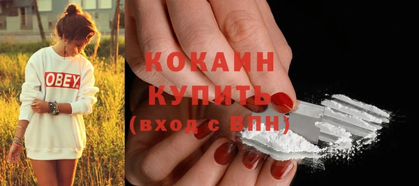 прущий лед Алзамай