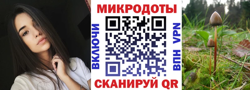 Галлюциногенные грибы мухоморы  закладка  MEGA зеркало  Прохладный 