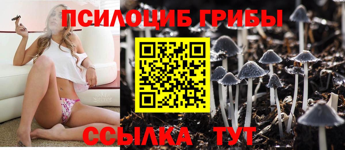Псилоцибиновые грибы Psilocybe  Вход с VPN  Прохладный  Псилоцибиновые грибы мухоморы 